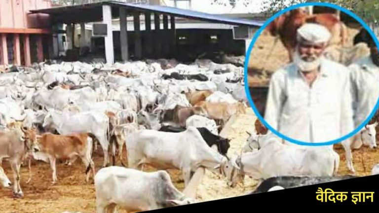 बदलाव की बयार: शब्बीर कसाई ने गाय का’टने के बजाय गाय पालने को बनाया पेशा