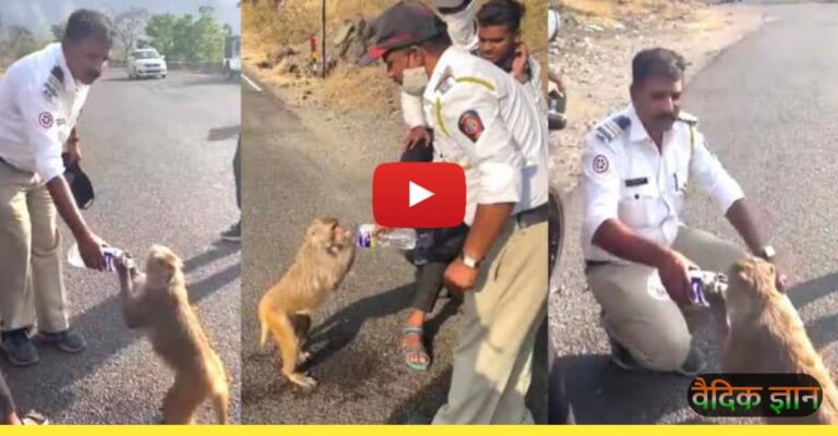 पानी के लिए तड़प रहे बंदर को एक पुलिसवाला ने पिलाया पानी,  आप भी देखिए ये दिल छू लेने वाली video