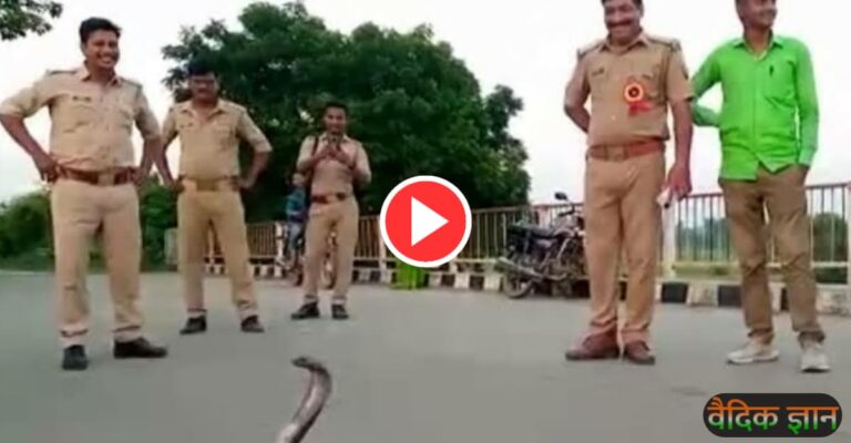 चेकिंग के दौरान बाइक के डिक्की से निकला कोबरा, सांप देख सड़क पर मच गई भगदड़, देखें वीडियो