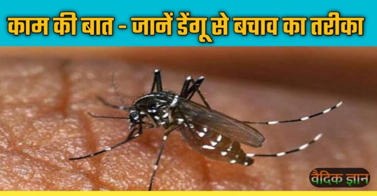 बिहार में काफी फैल रहा है डेंगू, जानिए इससे बचने के उपाय